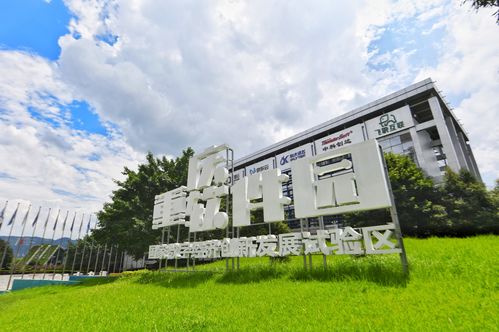 重慶市軟件和信息服務(wù)業(yè) 滿天星 行動(dòng)計(jì)劃將這么干