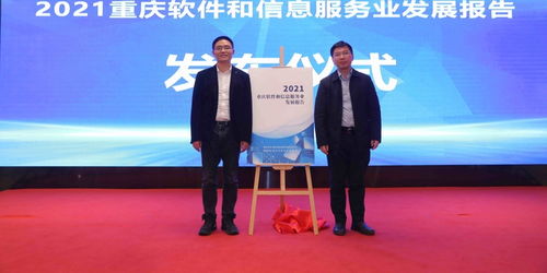 助力 雙城圈 萬億級電子信息產(chǎn)業(yè)集群建設(shè) 重慶軟件產(chǎn)業(yè)繪就了這張發(fā)展 施工圖