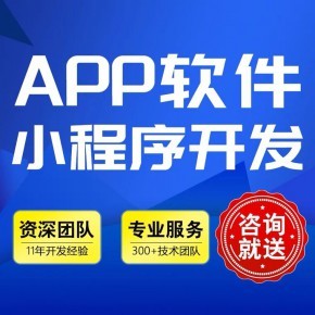 app小程序開發(fā)重慶軟件開發(fā)公司網(wǎng)站建設h5公眾號