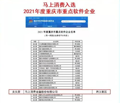 馬上消費(fèi)入選2021年度重慶市重點(diǎn)軟件企業(yè)